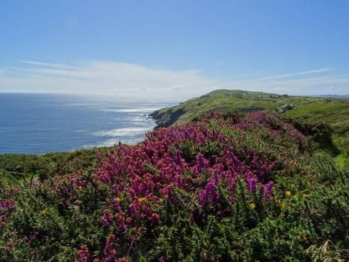 Apartamento Escape To The Beara Peninsula. Castletownbere Exterior foto